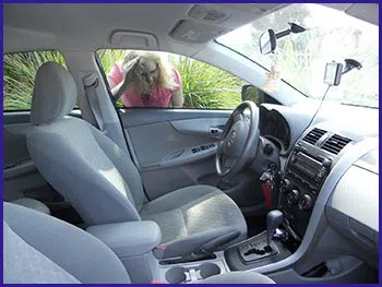 Washington Park RI Locksmith Store Washington Park, RI 401-466-4416